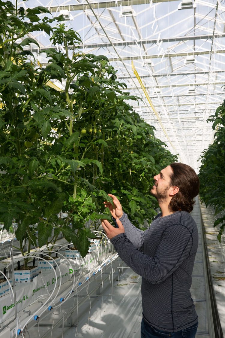 Jamie Mastronardi - owner of JEM Farms